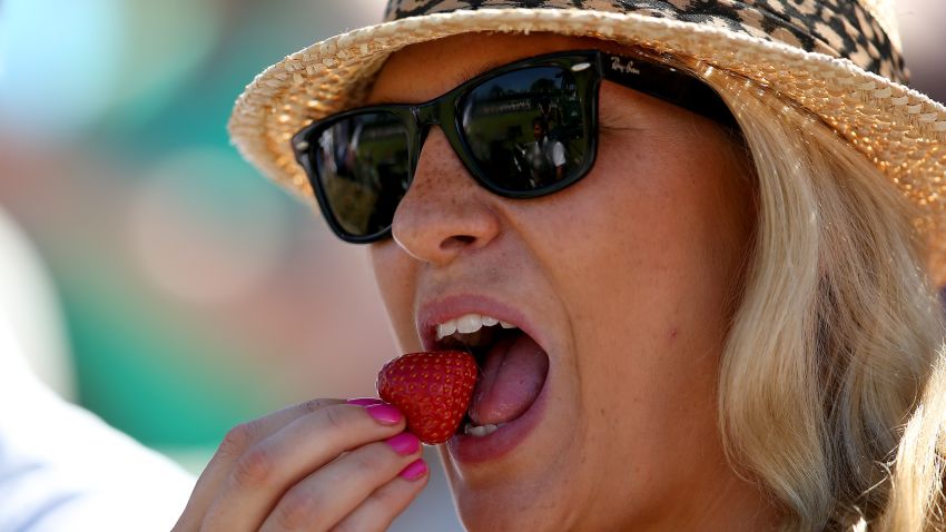 Spectator eats a strawberry during Wimbledon