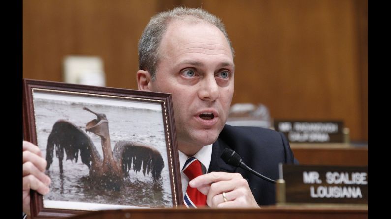 Scalise holds up a photo of an oil-covered pelican as he questions BP CEO Tony Hayward in June 2010. A House subcommittee was holding a hearing about the Deepwater Horizon explosion and the oil spill that followed.