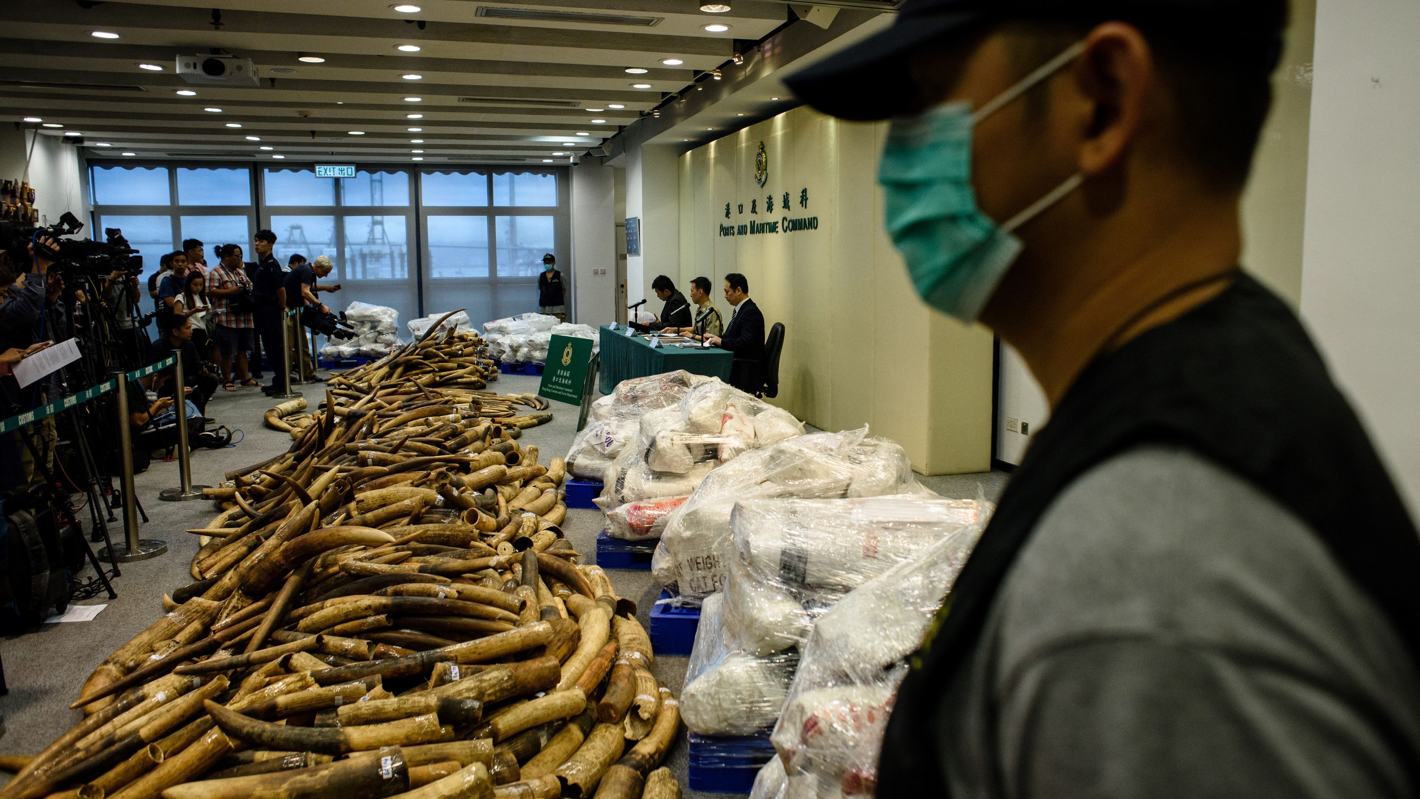 A customs officer stands guard next to seized elephant ivory tusks during a news conference at the Kwai Chung Customhouse Cargo Examination Compound in Hong Kong on Thursday.