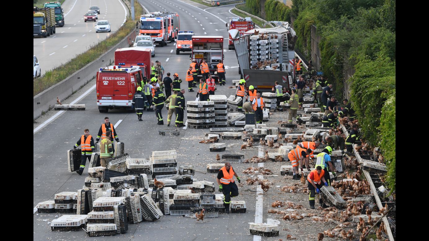 Firefighters help clean up a highway in Asten, Austria, where <a href="http://www.cnn.com/2017/07/04/europe/austria-chicken-highway/index.html" target="_blank">a poultry truck collided with a bridge pillar</a> on Tuesday, July 4. Thousands of chickens ran onto the highway, an official said, and authorities were forced to close a section of the road because of heavy traffic and the presence of gawkers. Some chickens were killed in the accident. No humans were hurt.