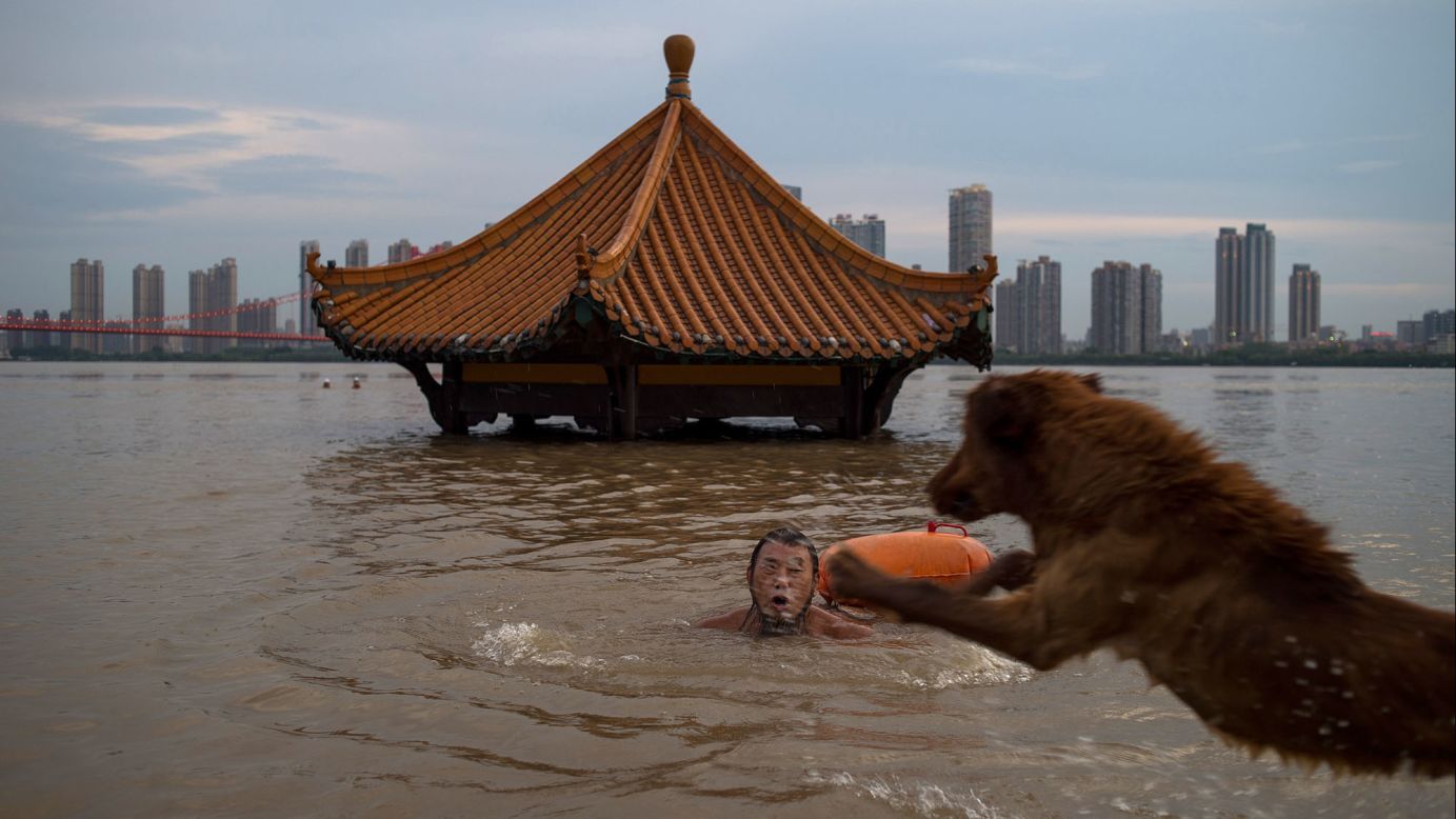 A man in Wuhan, China, swims with his dog in the Yangtze river on Wednesday, July 5. Heavy rains in the province caused water levels to rise in several cities.