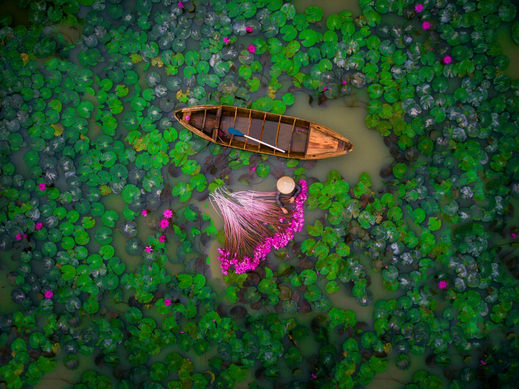 <strong>Unexpected perspectives:</strong> helios1412 took this striking picture of a woman harvesting water lilies in the Mekong Delta in Vietnam.