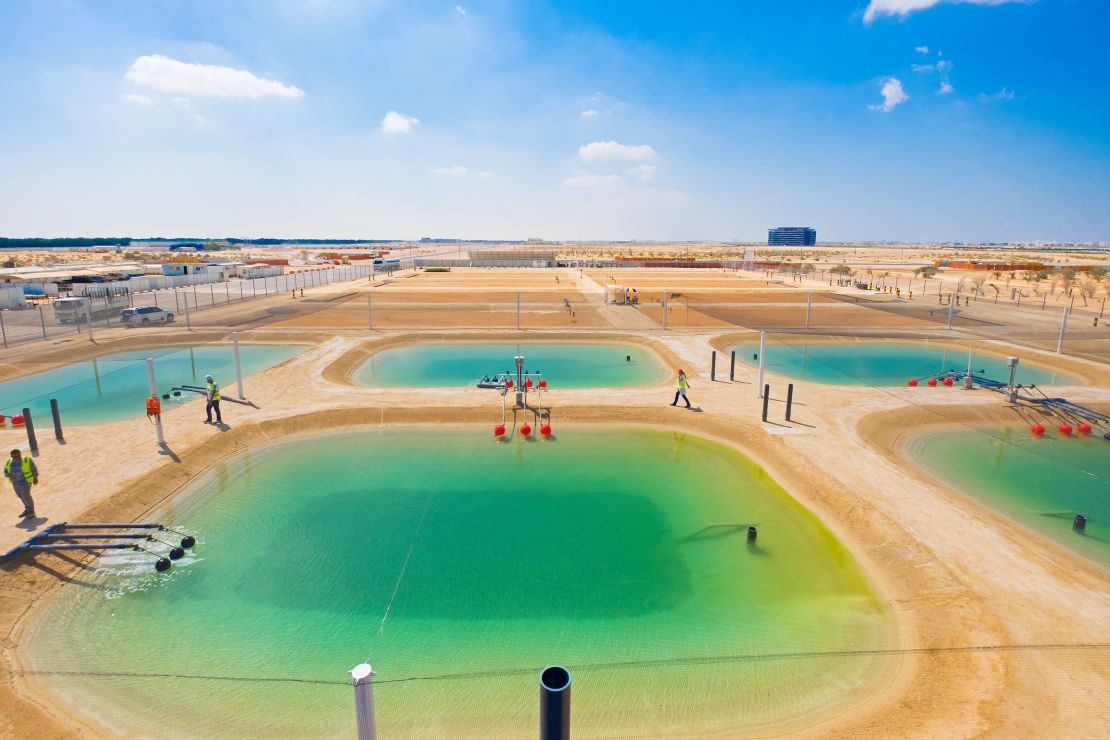 The Integrated Seawater Energy and Agriculture System in Abu Dhabi, the UAE.