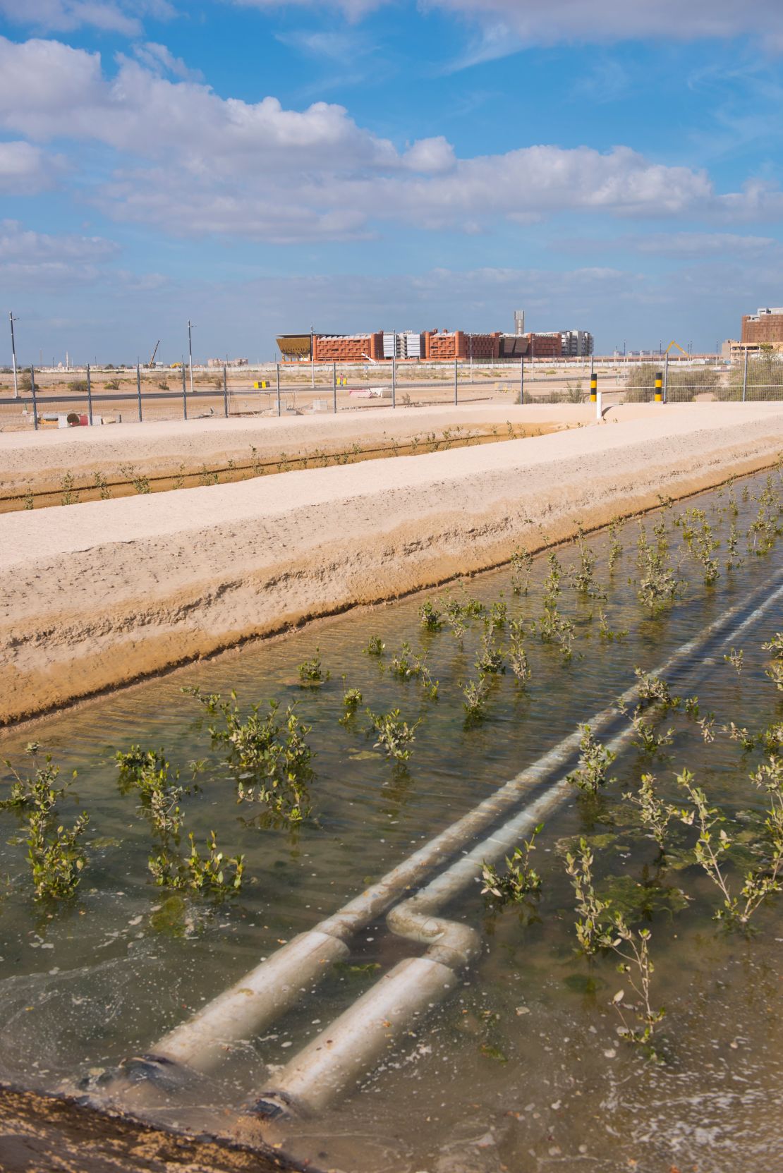 The Integrated Seawater Energy and Agriculture System project in Abu Dhabi, the UAE.