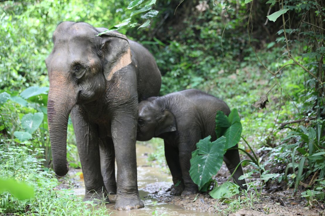 Baby Kit at MandaLao.