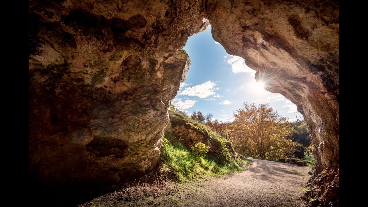 The entrance to the Vogelherd Cave lies a little more than 20 meters above the valley and has a 50 meter long cave chamber with two main approaches. A number of bone, antler and ivory tools were found in the cave as well as a rich trove of figurines.