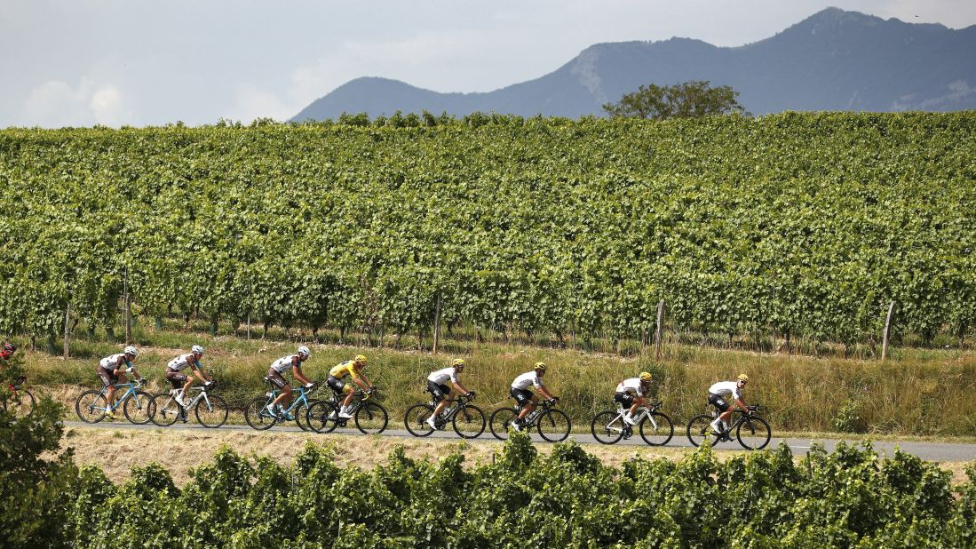 The pack of riders in action during the nine stage of the Tour de France.