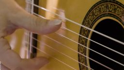 inside the middle east islamic spain flamenco guitar oud_00025820.jpg