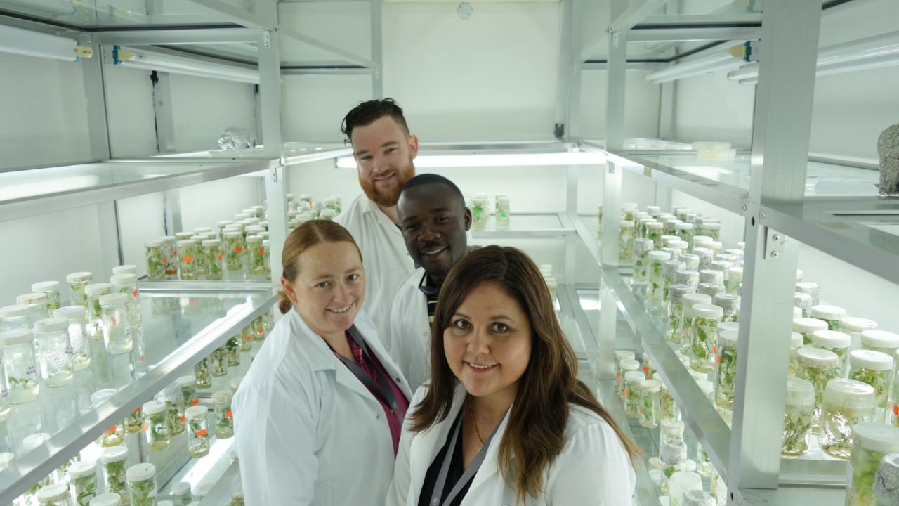 Computation biologist Dr. Laura Boykin is pioneering the use of genomics to identify strains of cassava disease.