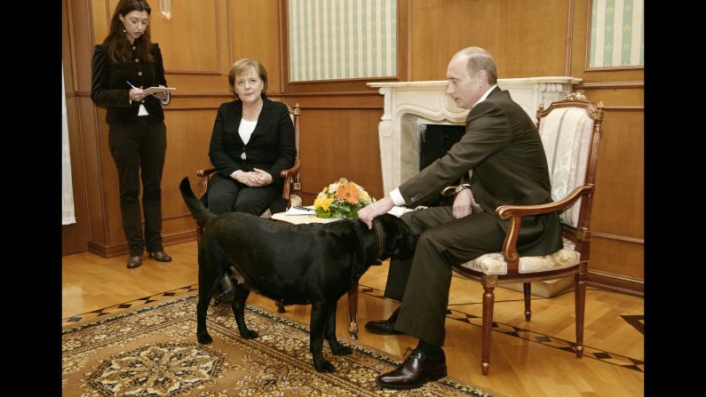 Putin pets his dog Kuni as he addresses journalists with German Chancellor Angela Merkel in January 2007. Merkel, reportedly fearful of dogs since one attacked her in 1995, was photographed looking distinctly uncomfortable when Putin brought his large black Labrador into the meeting in Sochi, Russia. Years later, <a href="index.php?page=&url=http%3A%2F%2Fwww.cnn.com%2F2016%2F01%2F12%2Feurope%2Fputin-merkel-scared-dog%2Findex.html" target="_blank">he told the German newspaper Bild</a> he had no intention of intimidating Merkel. "When I found out that she doesn't like dogs, of course I apologized," he said.
