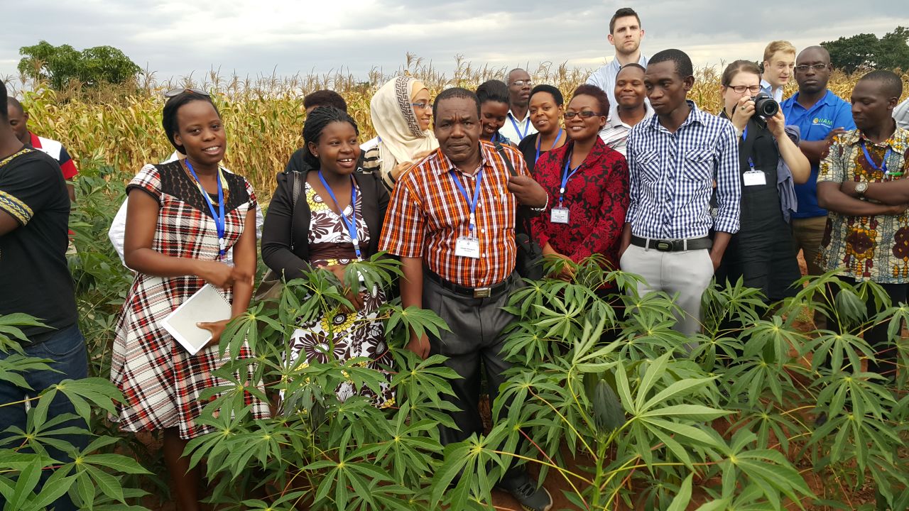 Dr. Joseph Ndunguru (center) in Malawi with colleagues working to identify and control cassava disease.