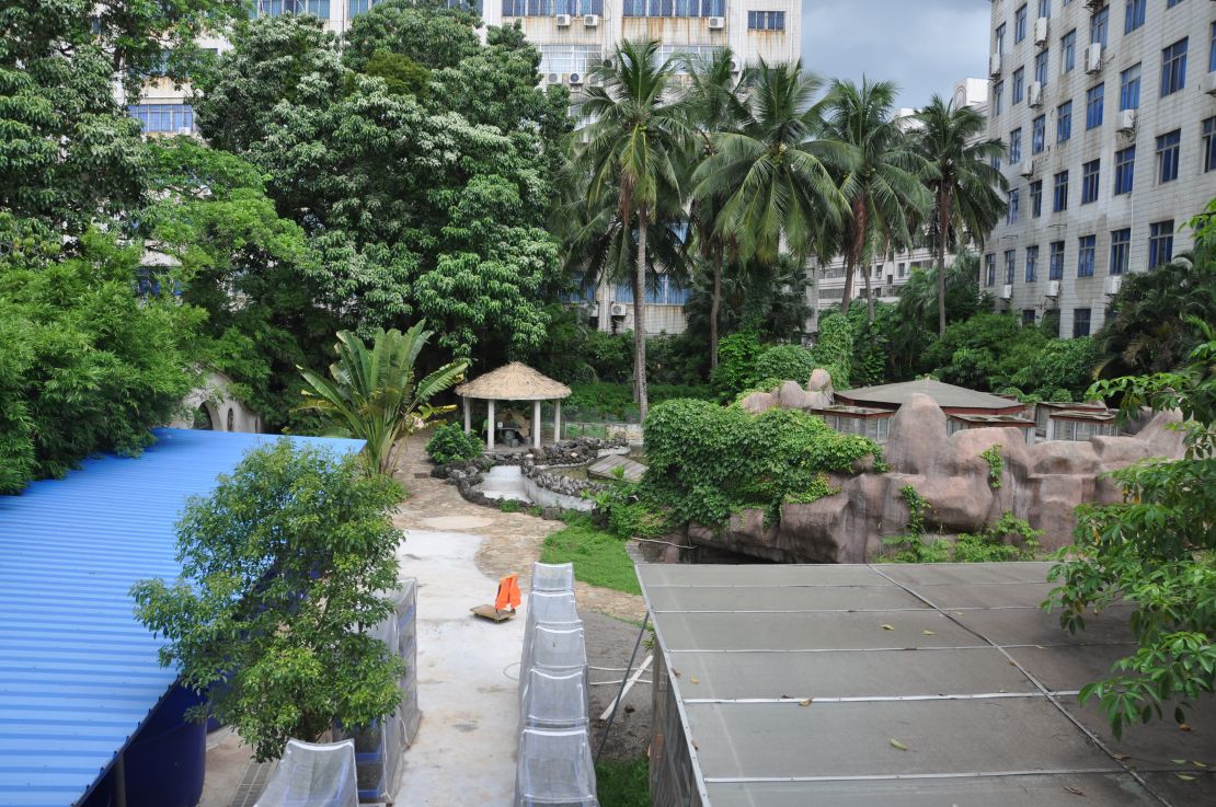 The turtle laboratory and hospital at Hainan Normal University that houses both salt and freshwater turtles.
