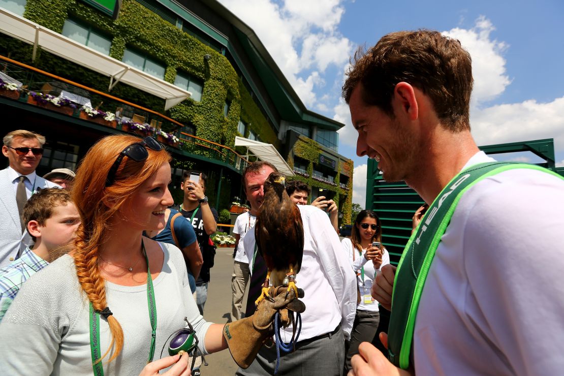 Andy Murray comes face-to-face with Rufus at Wimbledon back in 2014.  