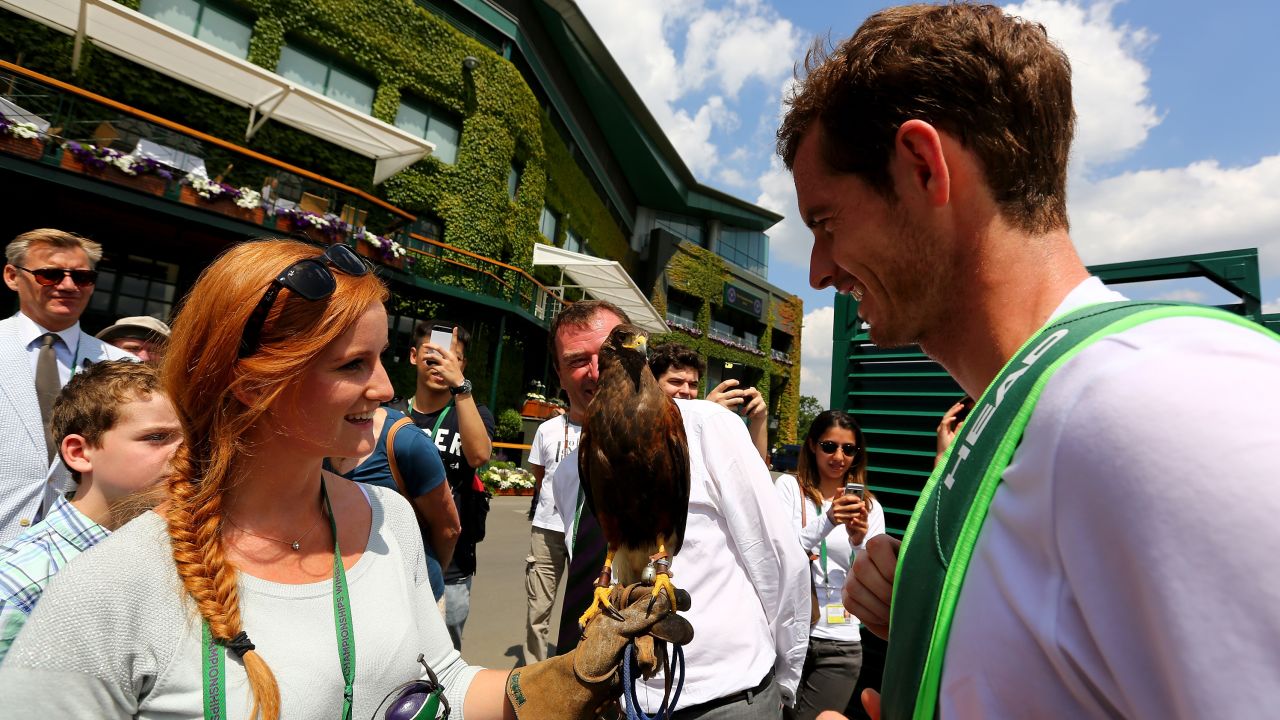 Andy Murray comes face-to-face with Rufus at Wimbledon back in 2014.  