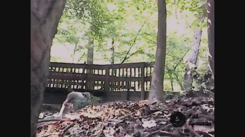 This image from an FBI video shows Semenko in a wooded area hiding a package for another spy to pick up. The video offered proof that Semenko was spying for Russia. 