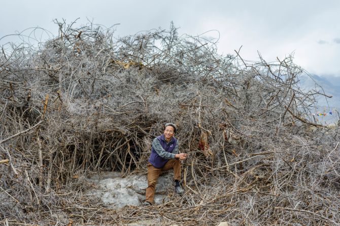 Mechanical engineer Sonam Wangchuk, the inventor of the ice stupa, pictured here with the natural materials, like bushes, that he uses as catalysts to start the ice formation.