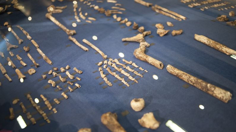 <strong>Maropeng in the Cradle of Humankind: </strong>The remains of some of humanity's earliest ancestors were discovered in this region, now preserved as the Cradle of Humankind. 