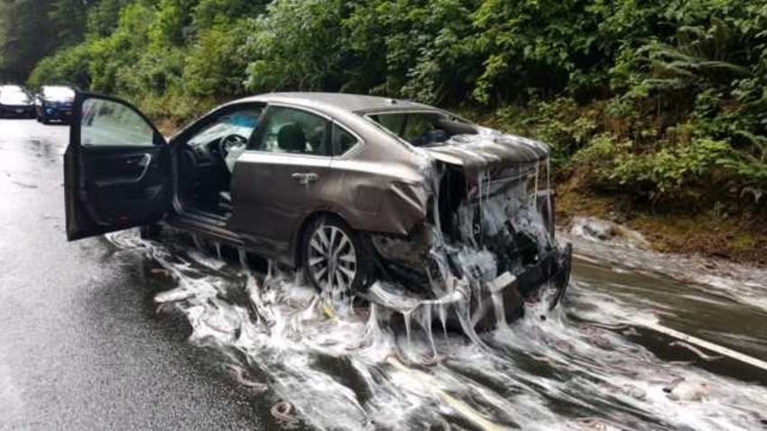 One of the cars in the four-vehicle pile up is seen covered with eels secreting a white slime.