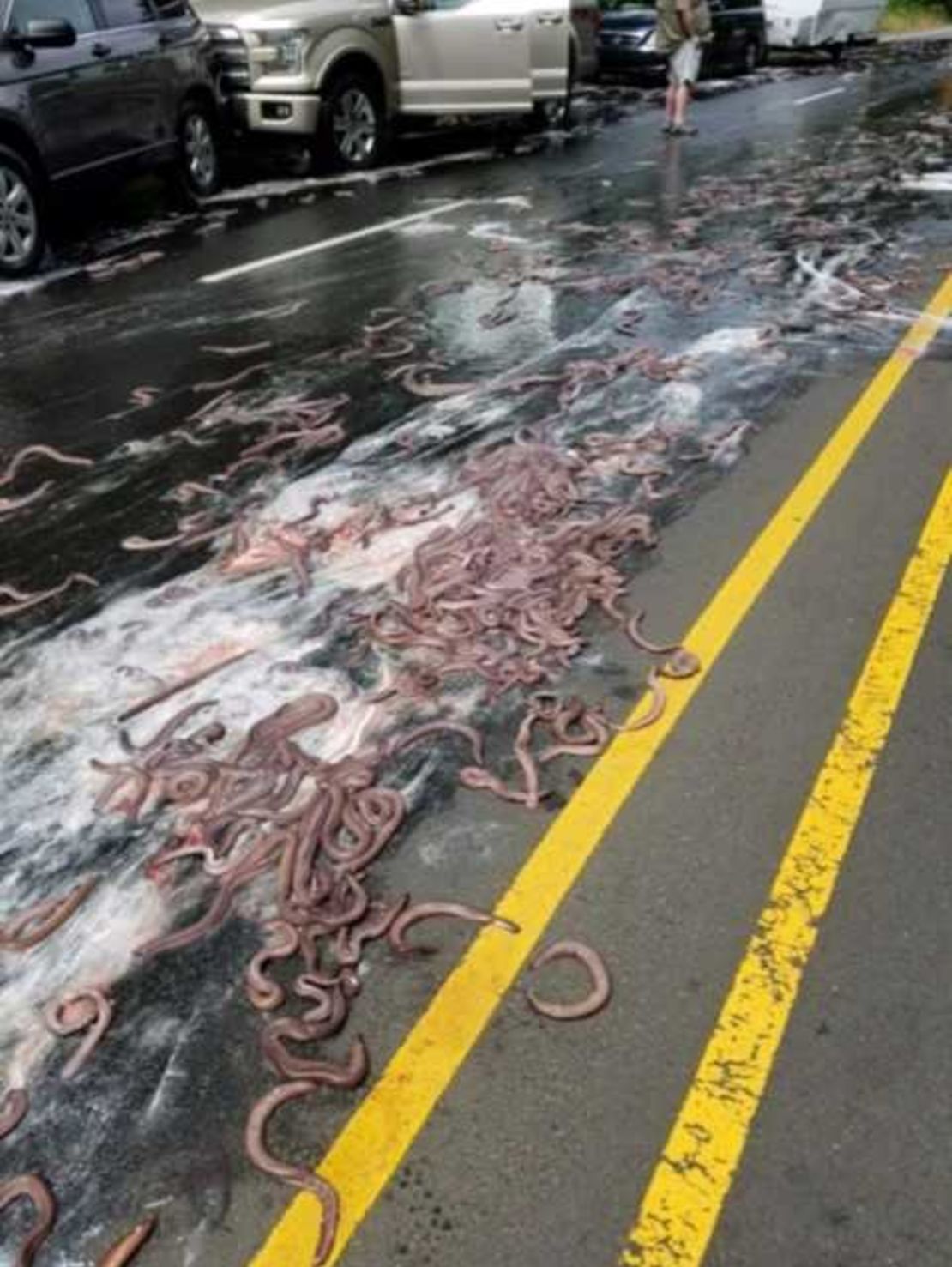 what lead to you thinking this thought you thoke?, Slime Eels Car