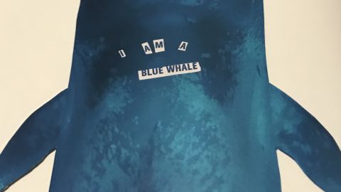 Entries with photos saying "I Am A Blue Whale" were found in Nadia's journal. 