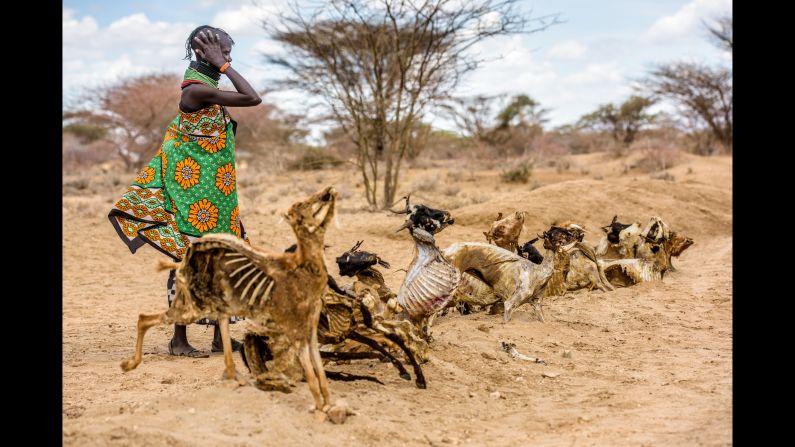Communities in northwest Kenya are lining the dilapidated roads with carcasses of dead animals in a symbolic cry for help.