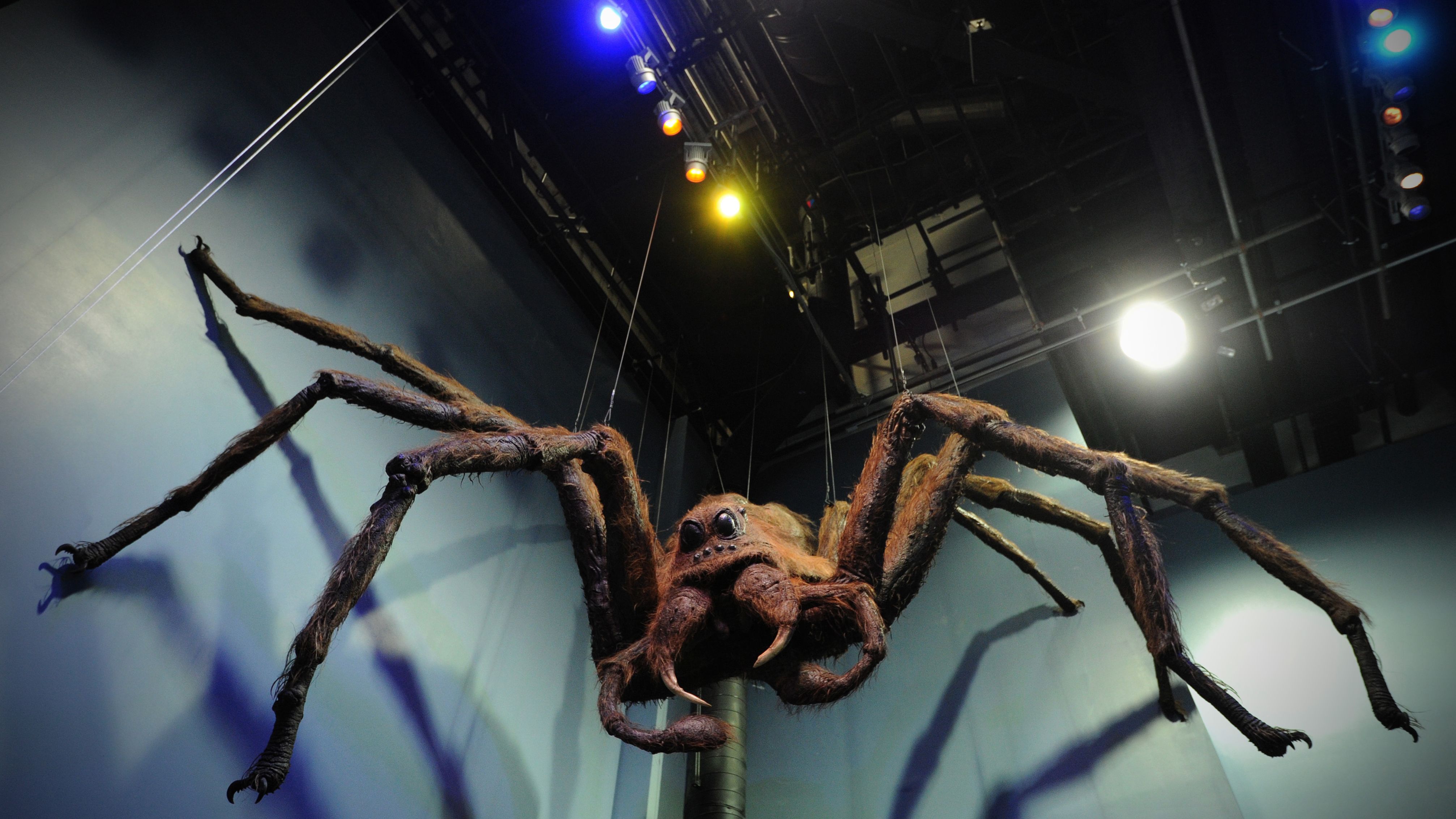  Aragog the giant spider greets visitors to a 2012 studio tour in north London.