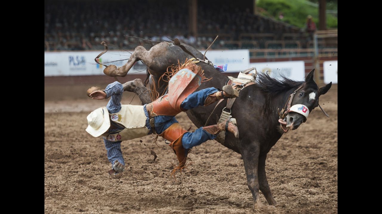 Taylor Broussard is bucked off "Slick" during a bareback division competition at the 77th annual Pikes Peak or Bust Rodeo on Saturday, July 15, in Colorado Springs.