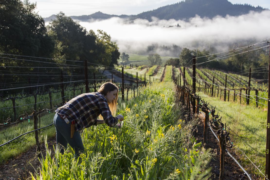 The restaurant prides itself on using local produce.