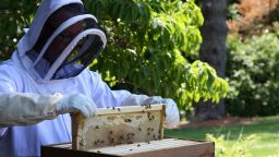 Derrick Williams, horticulturalist at the vice president's residence, examines the hives