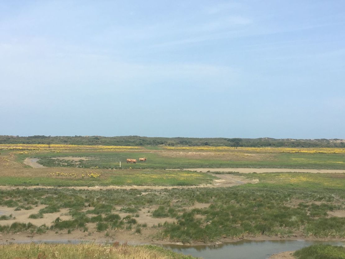 Authorities hope the Jungle site will eventually look like this nature reserve at Oye-Plage, near Calais.