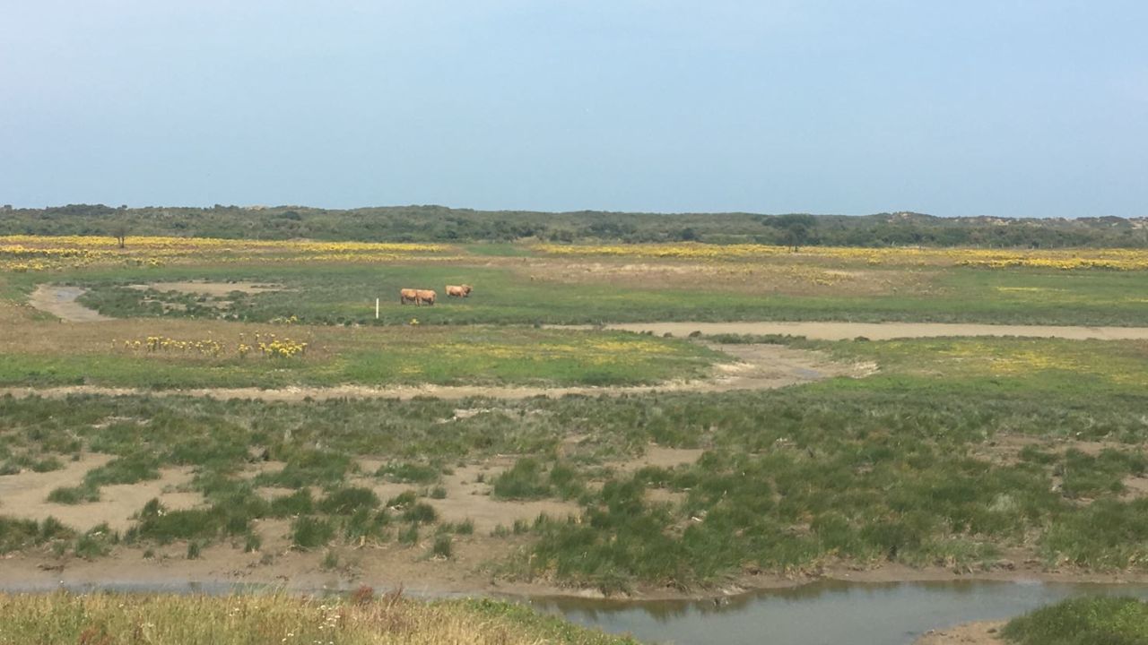Authorities hope the Jungle site will eventually look like this nature reserve at Oye-Plage, near Calais.