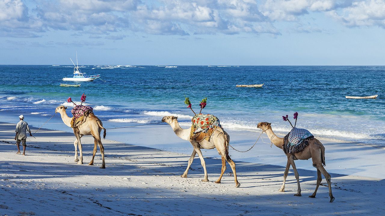 Nominering smøre Troubled Kenya's best beaches: 8 you don't want to miss | CNN