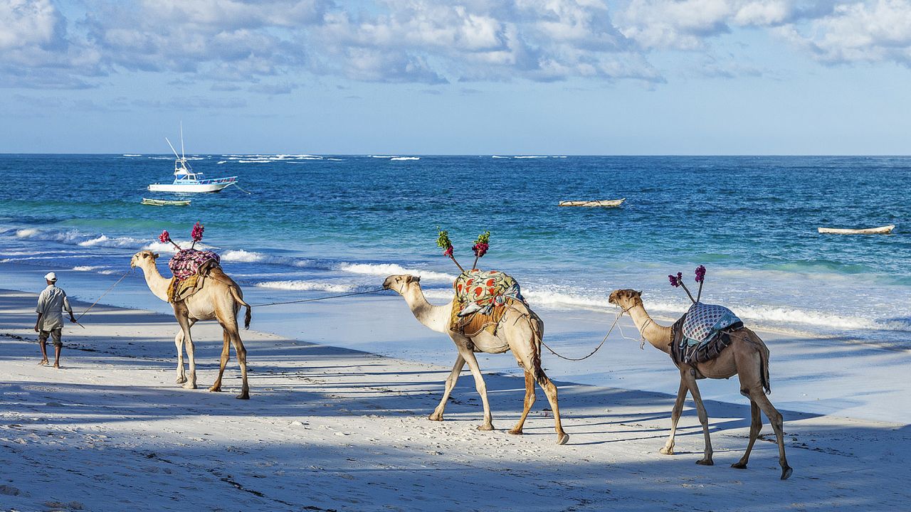 Pristine beach, vibrant nightlife and countless beach activities make Diani a must-visit.