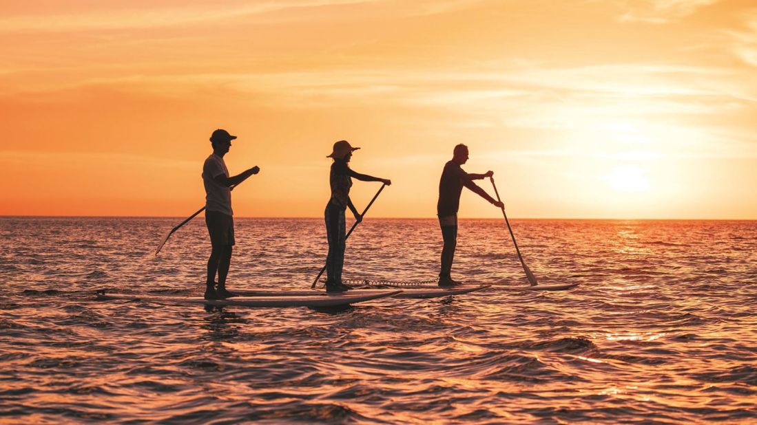 <strong>Wellness at sea:</strong> New and established cruise ship brands are making it easier to stay fit while on a cruise. Lindblad Expeditions's new "Exploration, Transformation, Mindfulness" voyages in Mexico's Sea of Cortez pair in-port activities like stand-up paddleboarding with shoulder massages and power yoga back on deck. 