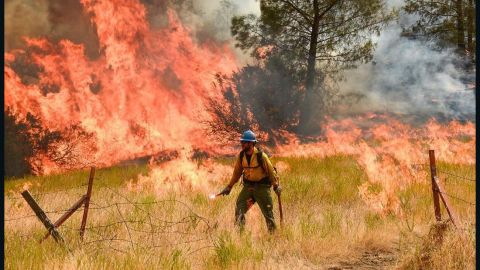 Firefighters battle the Detwiler Fire, which has burned thousands of acres in California, near Yosemite National Park, on Wednesday