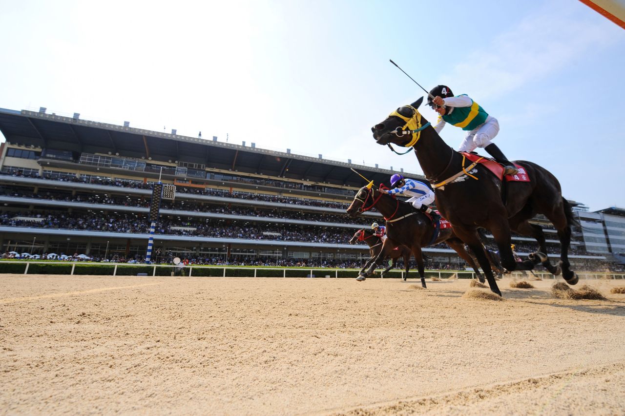 With a new quarantine protocol, the Korea Racing Authority (KRA) plans to stage some of the biggest events on the horse racing calendar within five years.