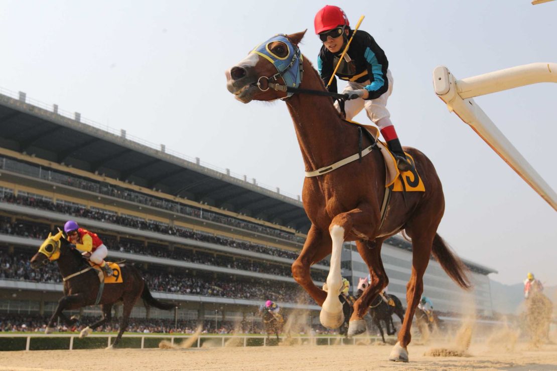 horseracing south korea seoul racecourse jo sung gon