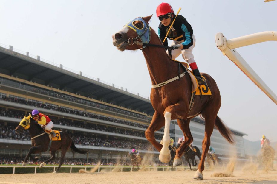 One hundred years on from the nation's first thoroughbred race, plans are in place for South Korea to become a major player in the sport.
