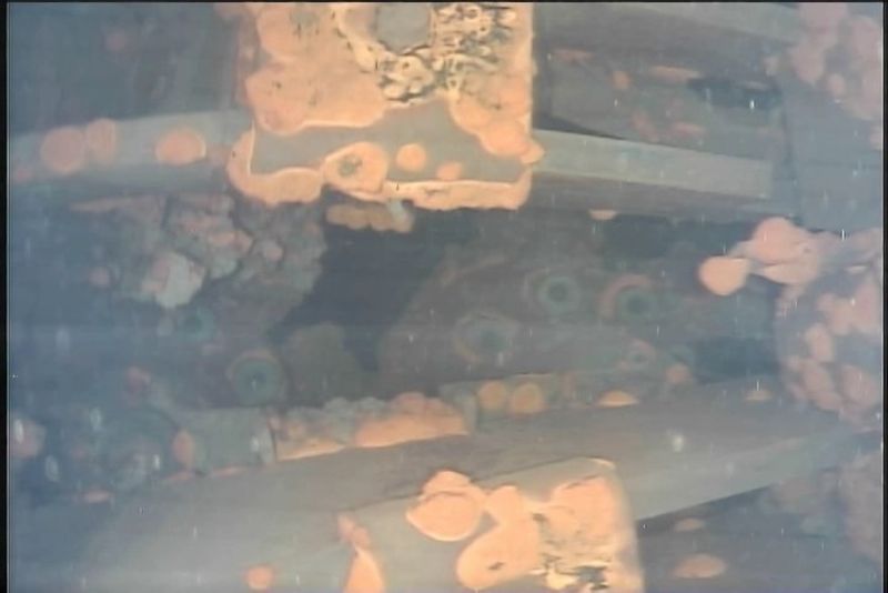 Fukushima Robot Reveals First Sign Of Melted Fuel In Submerged Reactor ...