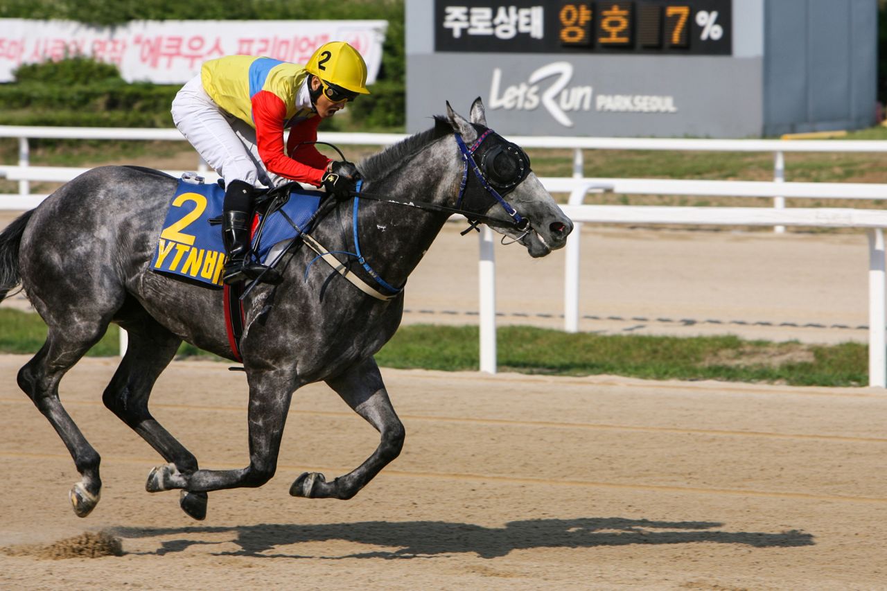 "Right now horse racing has a bad perception among some Korean people," Yang Tae Park, executive director of the KRA, told CNN.  "We are trying to change that perception."