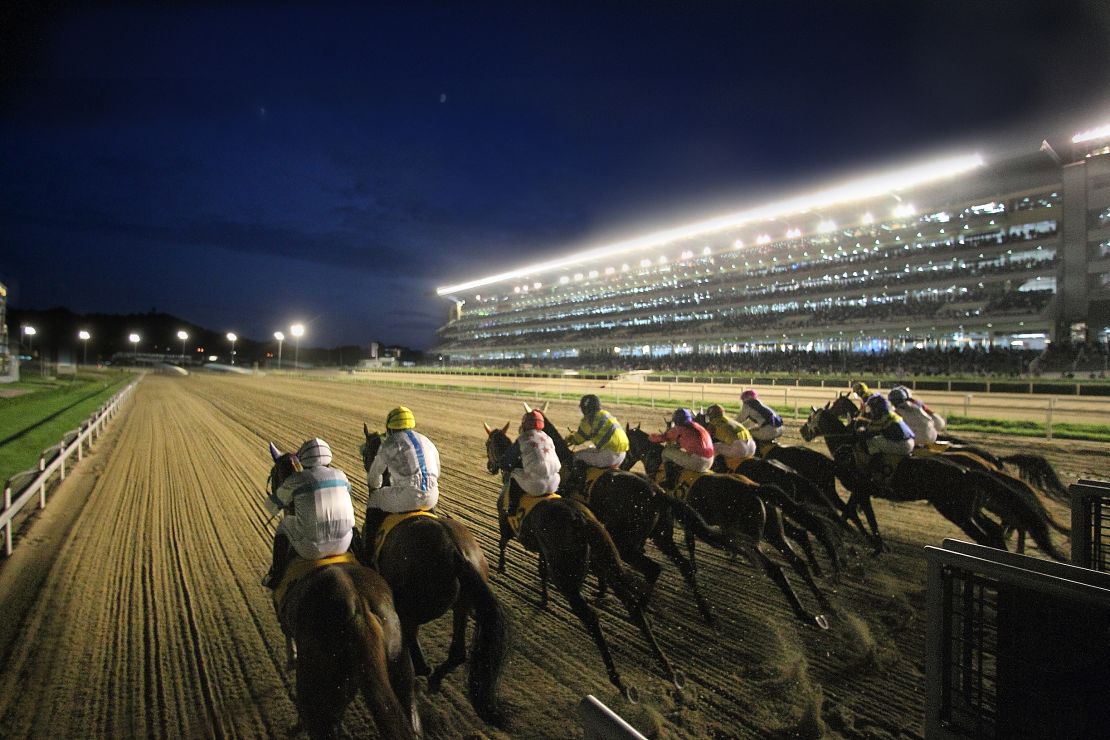 horseracing south korea seoul racecourse night barrier