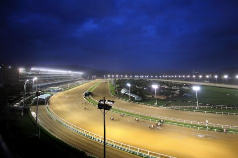 One venue, LetsRun Park Seoul, boasts towering grandstands called Happy Ville and Lucky Ville capable of accommodating 77,000 people.  