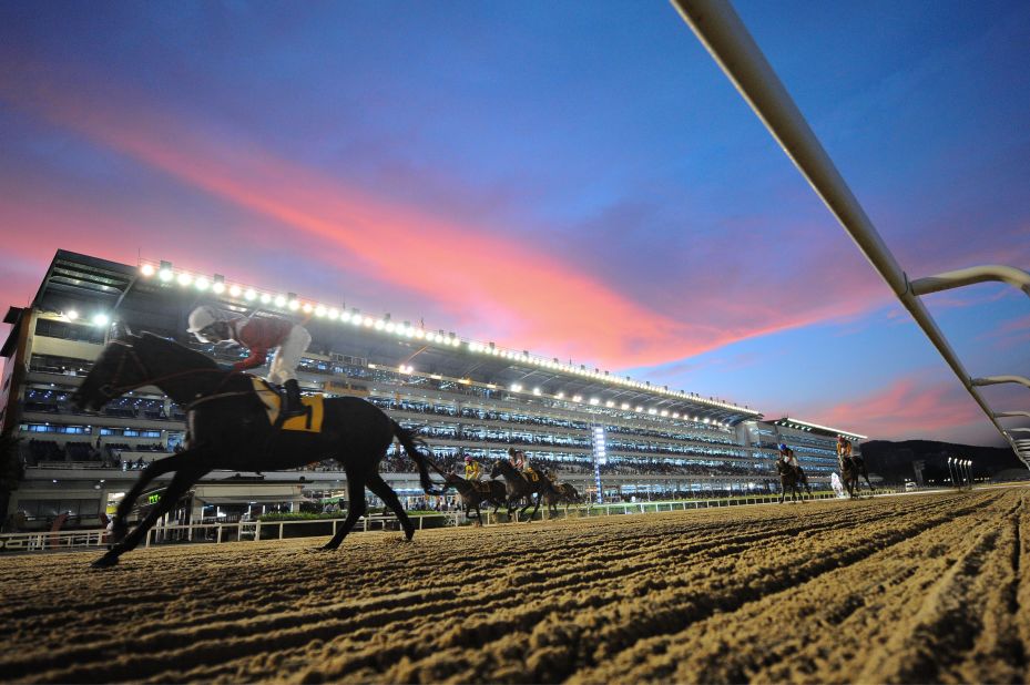 Horse racing in South Korea -- it's bigger than you think...