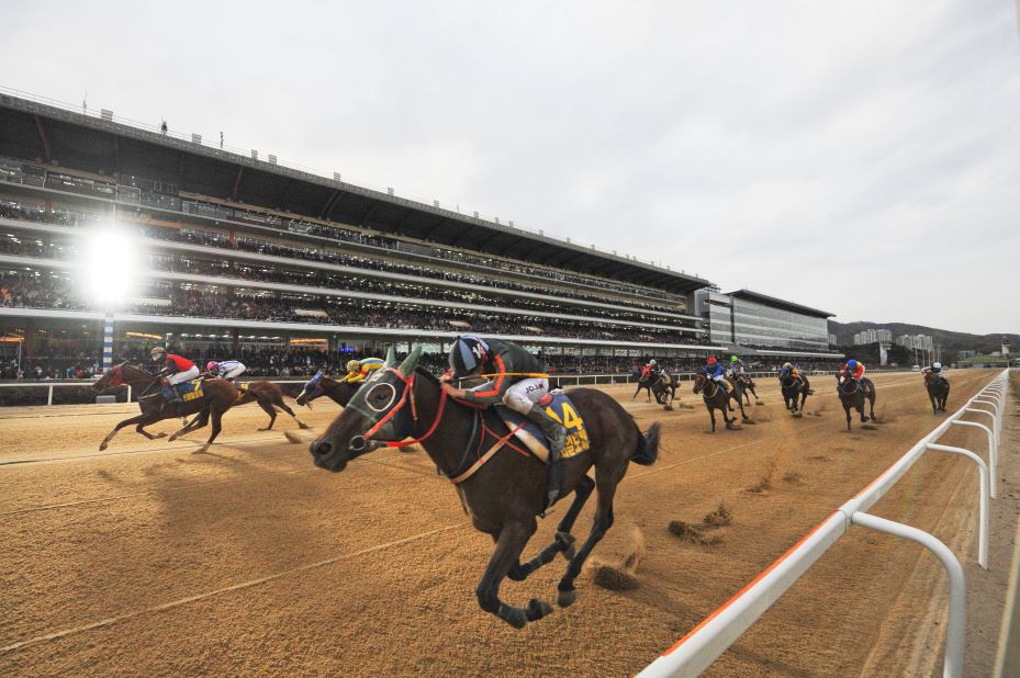 With Korean-bred horses increasingly racing in foreign lands and proving they can cut it at a high-level, don't bet against seeing one on a racetrack near you soon.