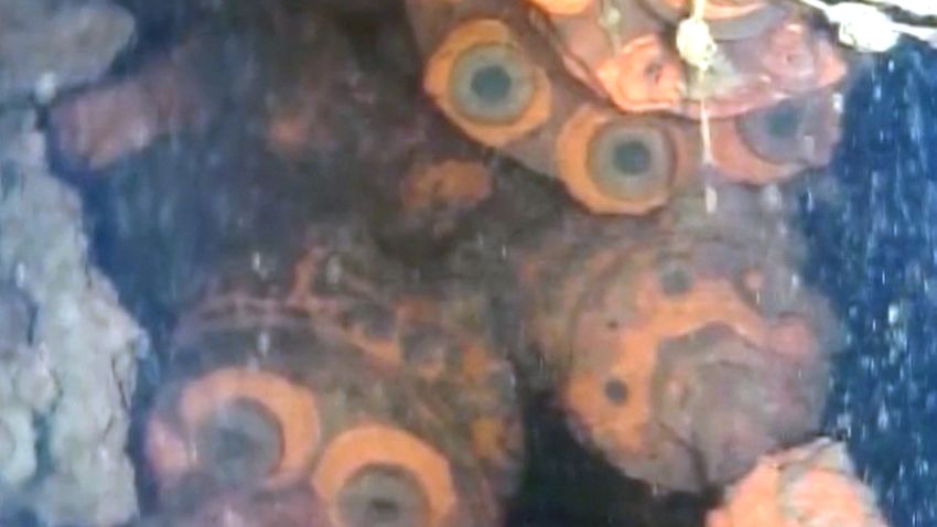 fukushima reactor melted fuel gears close up