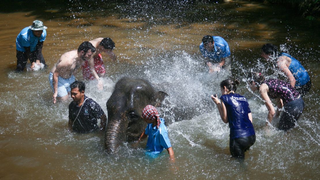 Kuala Gandah Elephant Sanctuary is unique in Malaysia.