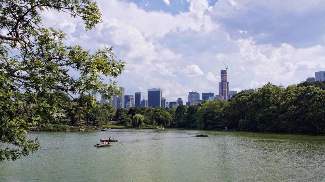 Explore Central Park Lake by boat for $15 an hour.