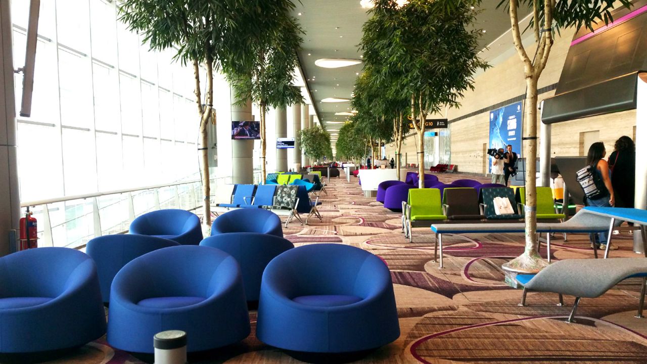 <strong>Green 'boulevard': </strong>Greenery has not been forgotten, with an estimated 582,000 plants, trees and shrubs throughout the terminal, including a "boulevard" of 160 ficus trees along the boarding corridor.