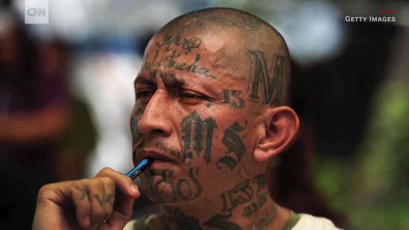 Decapitations mass murder and tattoos Inside the worlds deadliest street  gang MS13  Daily Star