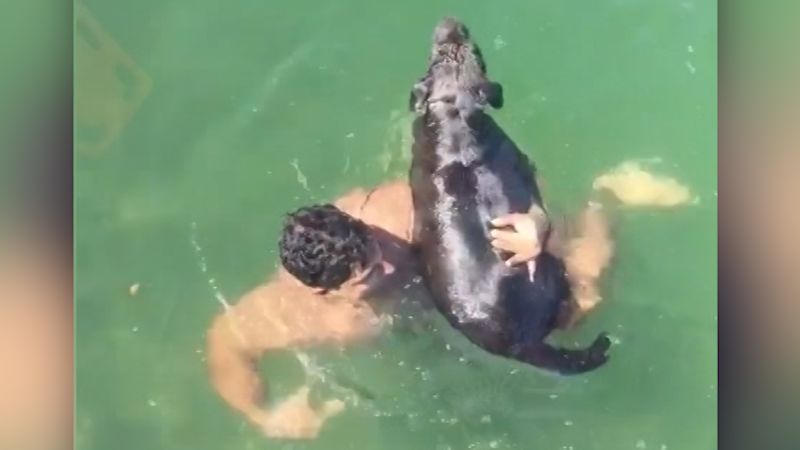 Viral video of man jumping in water for dog